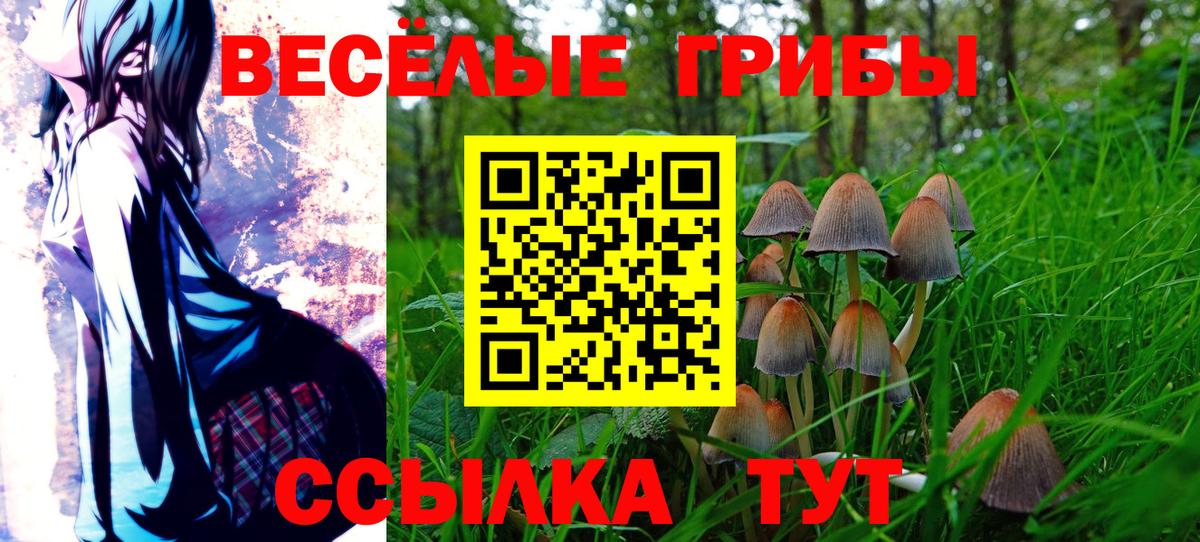 Верхняя Пышма  Галлюциногенные грибы MAGIC MUSHROOMS  Псилоцибиновые грибы Cubensis  Вход с VPN 